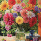 Garden Puzzle – Rainbow Dahlia Delight – 1000 Piece Jigsaw Puzzle