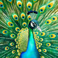 Peacock Puzzle – Emerald Peacock – 1000 Piece Jigsaw Puzzle featuring beautiful artwork of a vibrant emerald peacock with a satin finish, premium quality, dust free, eco-friendly design, perfect for 1000 piece jigsaw puzzles for adults.