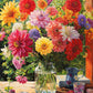 Garden Puzzle – Rainbow Dahlia Delight – 1000 Piece Jigsaw Puzzle