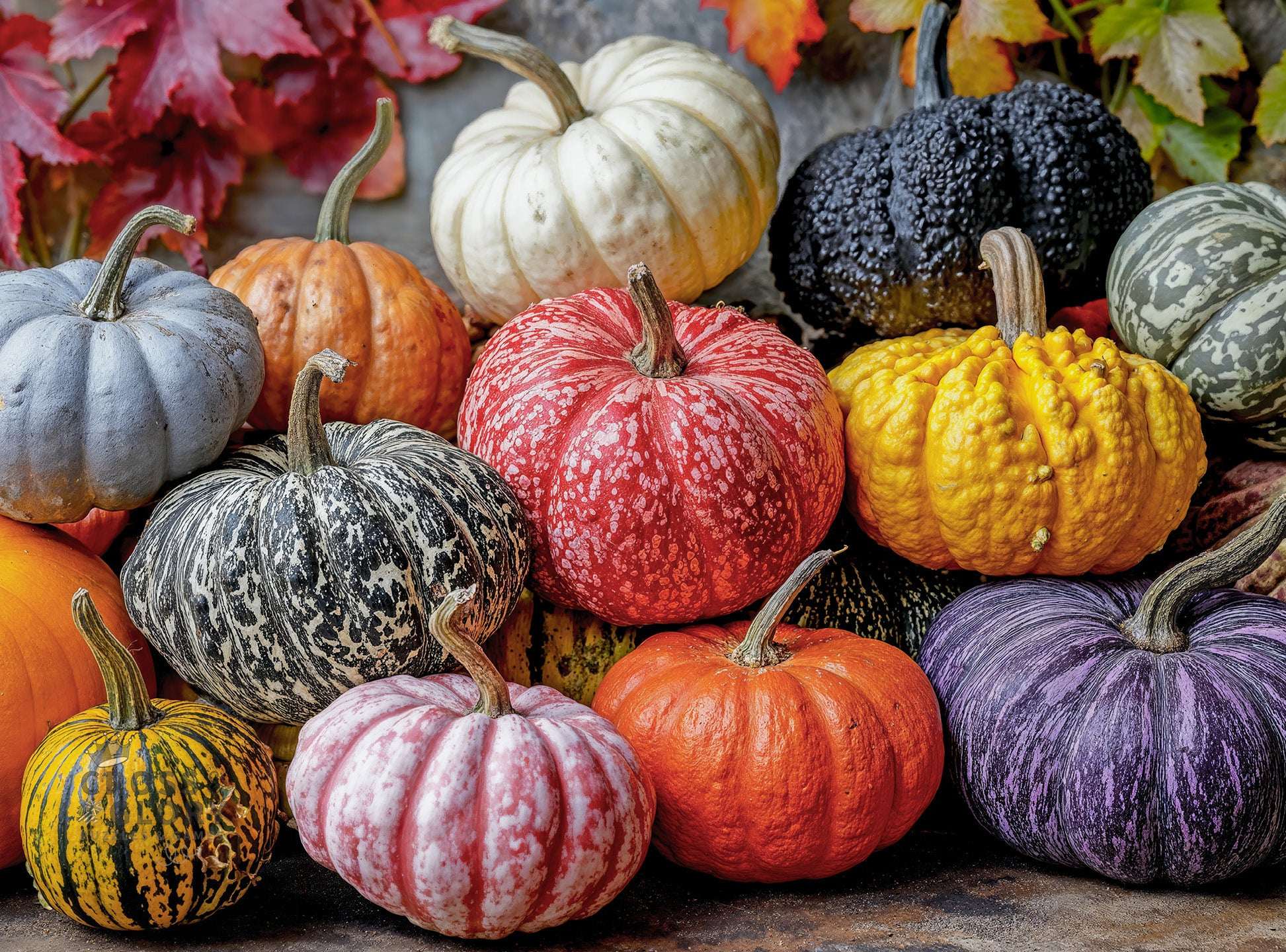 Fall Puzzle – Harvest for The Table – 1000 Piece Jigsaw Puzzle