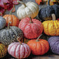 Fall Puzzle – Harvest for The Table – 1000 Piece Jigsaw Puzzle