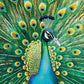 Peacock Puzzle – Emerald Peacock – 1000 Piece Jigsaw Puzzle featuring beautiful artwork of a vibrant peacock with detailed green and blue feathers, satin finish, premium quality, dust free, eco-friendly, 1000 piece jigsaw puzzles for adults.