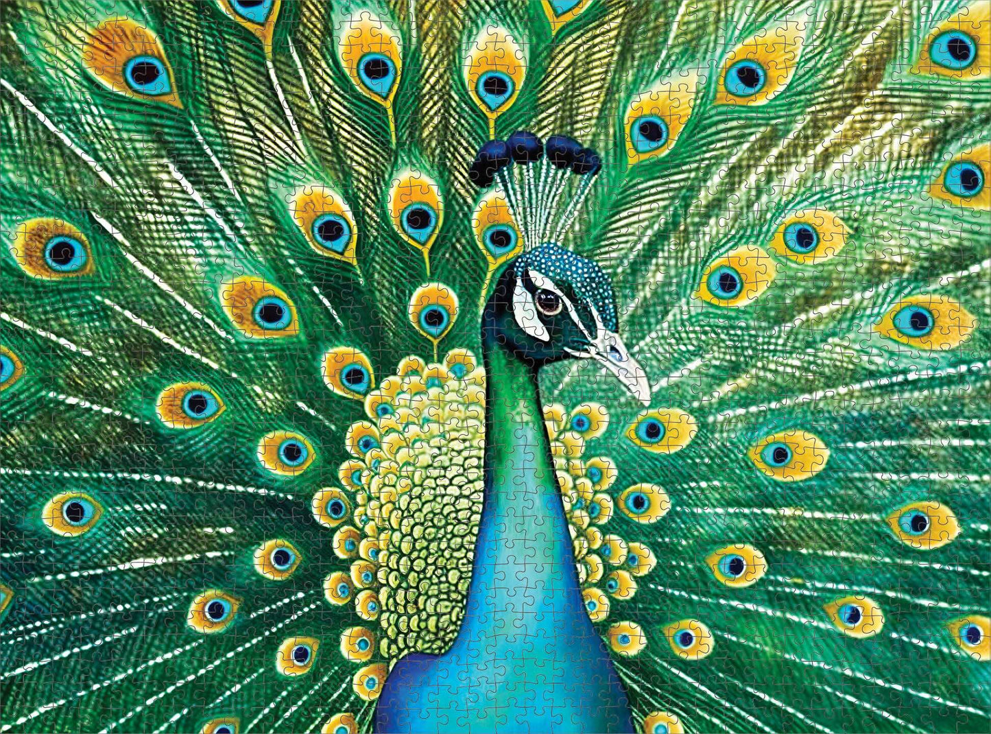 Peacock Puzzle – Emerald Peacock – 1000 Piece Jigsaw Puzzle featuring beautiful artwork of a vibrant peacock with detailed green and blue feathers, satin finish, premium quality, dust free, eco-friendly, 1000 piece jigsaw puzzles for adults.