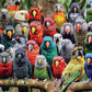 Bird Puzzle – Kaleidoscope of Feathers – 1000 Piece Jigsaw Puzzle featuring vibrant birds in beautiful artwork with a satin finish, premium quality, and eco-friendly materials, dust free, 1000 piece jigsaw puzzles for adults.